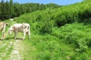 IMG_0072