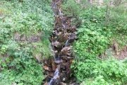 IMG_0002