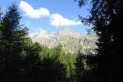 IMG_0004