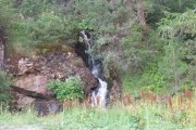 IMG_0007