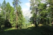 IMG_0010