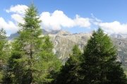 IMG_0013