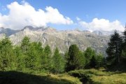 IMG_0016