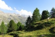 IMG_0019