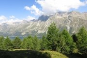 IMG_0025