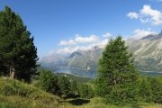 IMG_0026