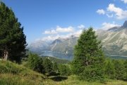 IMG_0029