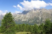 IMG_0030