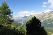 IMG_0035