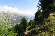IMG_0038