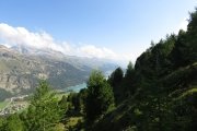 IMG_0040
