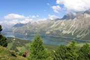 IMG_0045