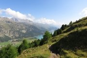 IMG_0048