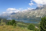 IMG_0050