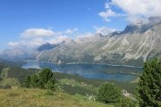 IMG_0052