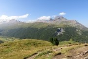 IMG_0061