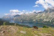 IMG_0062