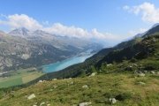 IMG_0091