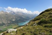 IMG_0111