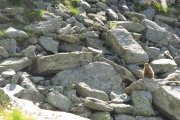 IMG_0121