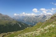 IMG_0124