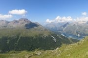 IMG_0131