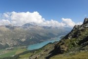 IMG_0135