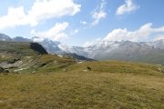IMG_0164