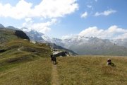 IMG_0169