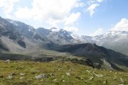 IMG_0186