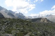 IMG_0206