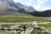 IMG_0208