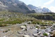 IMG_0218