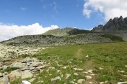 IMG_0222