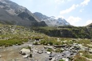 IMG_0223