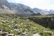 IMG_0226