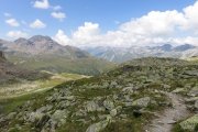 IMG_0236