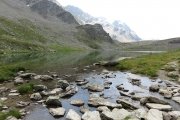 IMG_0249