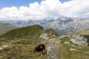 IMG_0312