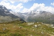 IMG_0313