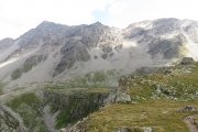 IMG_0345