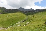 IMG_0374