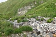 IMG_0388