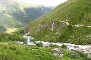 IMG_0392