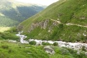 IMG_0394