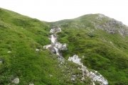 IMG_0398