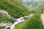 IMG_0404