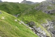 IMG_0405