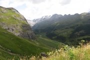 IMG_0409