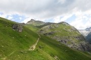 IMG_0411